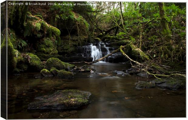 Fintry Waterfall Canvas Print by bryan hynd