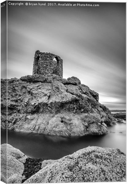 Lady's Tower Portrait Canvas Print by bryan hynd