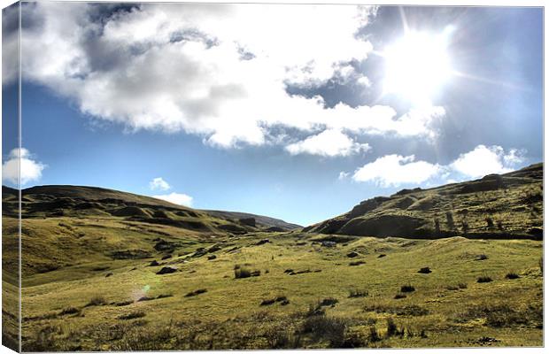 Welsh landscape Canvas Print by Elizabeth Page