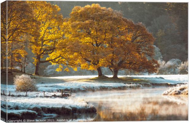Morning mist on the River Brathay Canvas Print by Steve Jackson