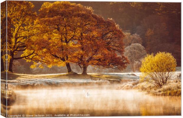 Autumnal mist on the River Brathay Canvas Print by Steve Jackson