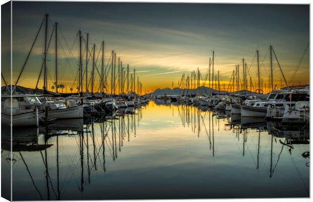 Reflect Canvas Print by Perry Johnson