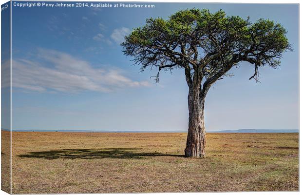  Maasai Mara Canvas Print by Perry Johnson