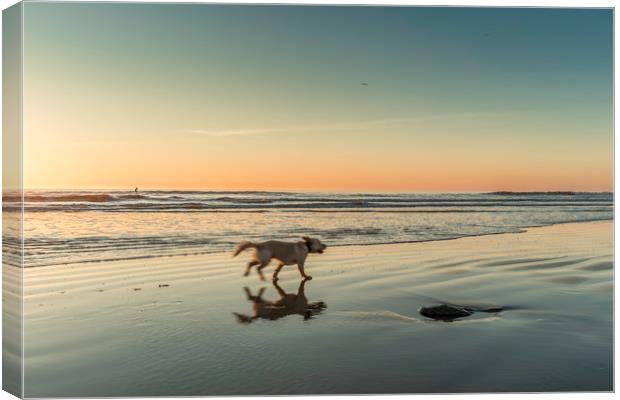 Going for a run Canvas Print by Perry Johnson