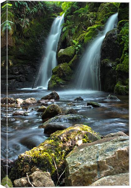 Pathway to the falls Canvas Print by Steven Dunn-Sims