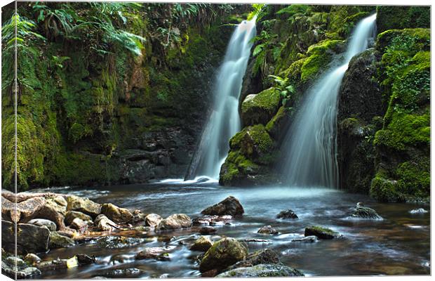 water theatre Canvas Print by Steven Dunn-Sims