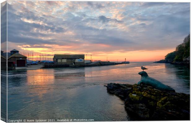 Nelson and friend enjoy the sunrise on The River Looe in Cornwall Canvas Print by Rosie Spooner