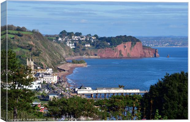 Looking down on Teignmouth  Canvas Print by Rosie Spooner