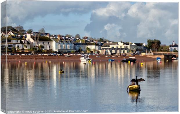 Early morning view of Shaldon  Canvas Print by Rosie Spooner