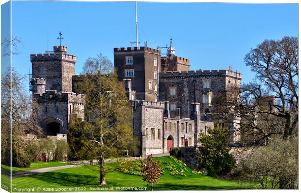 Powderham Castle in Devon Canvas Print by Rosie Spooner