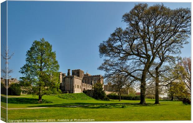 Powderham Castle in South Devon Canvas Print by Rosie Spooner