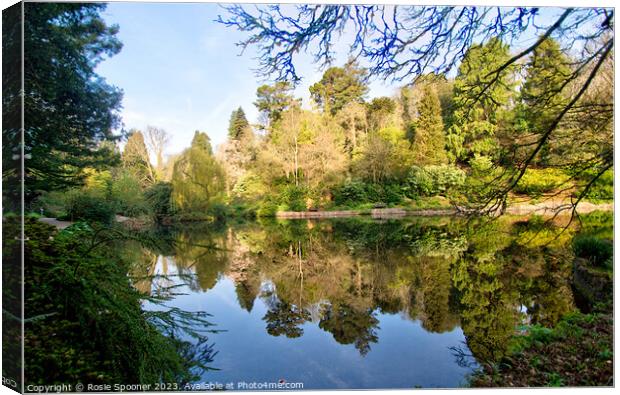 Reflections at Cockington Torquay Canvas Print by Rosie Spooner