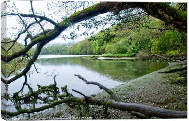 Misty morning on The River Looe Canvas Print by Rosie Spooner