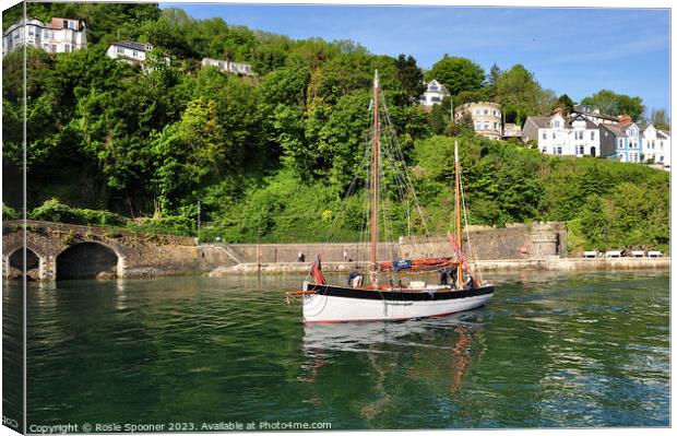 Lugger Regatta Looe  Canvas Print by Rosie Spooner