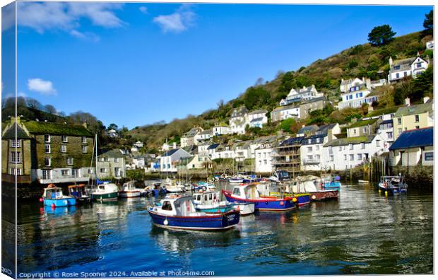 Polperro Harbour Cornwall Canvas Print by Rosie Spooner