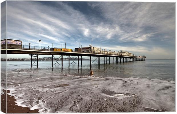 Paignton Pier (and a dog) Canvas Print by Rosie Spooner