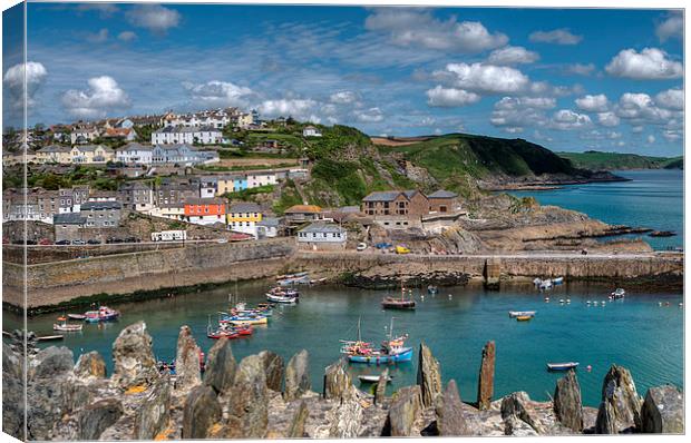 Mevagissey outer harbour Canvas Print by Rosie Spooner