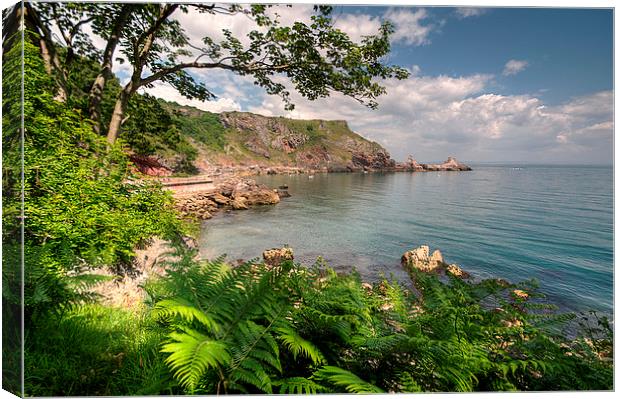 Ansteys Cove Torquay and Long Quarry Point Canvas Print by Rosie Spooner