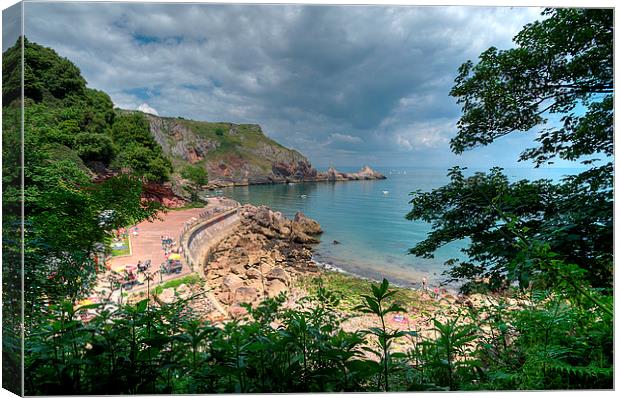 Ansteys Cove looking towards Long Quarry Point Canvas Print by Rosie Spooner
