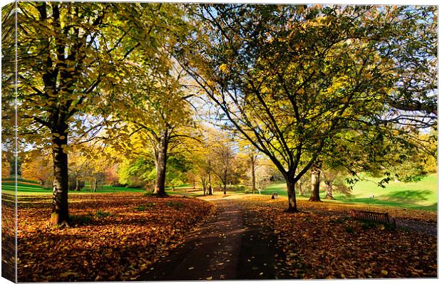  Autumn at Cockington Country Park Torquay Canvas Print by Rosie Spooner