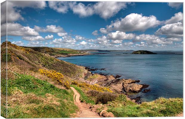 The South West Coast Path approaching Looe  Canvas Print by Rosie Spooner