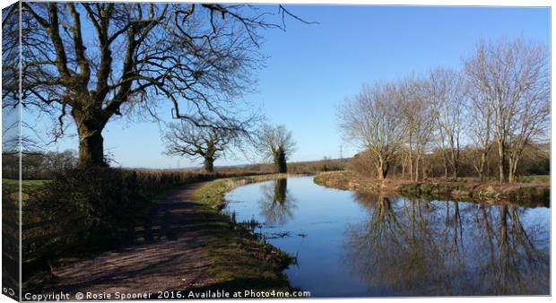 Grand Western Canal between Westleigh and Burlescombe Canvas Print by Rosie Spooner