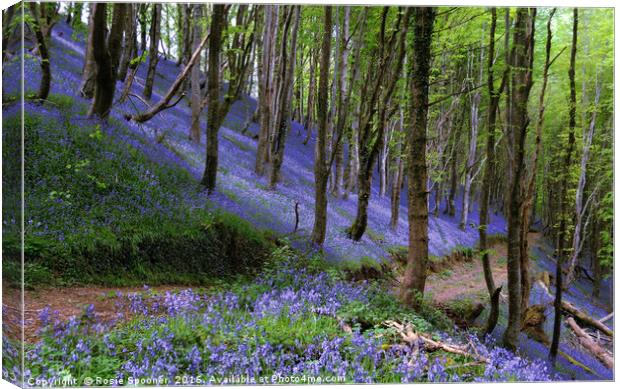 Path through the bluebell wood Canvas Print by Rosie Spooner