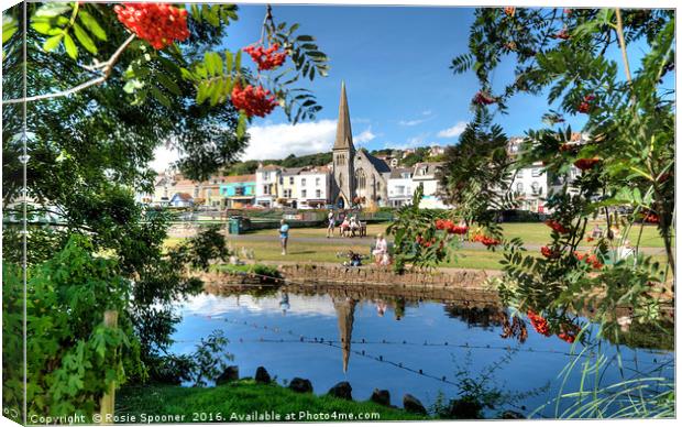 Dawlish Brook and Town through the trees. Canvas Print by Rosie Spooner