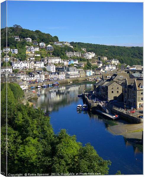 The River Looe early on a summer's morning Canvas Print by Rosie Spooner