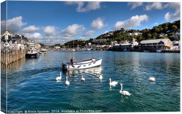 Swans follow the ferryman on the River Looe Canvas Print by Rosie Spooner