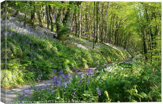 Road through the Bluebell Wood Canvas Print by Rosie Spooner