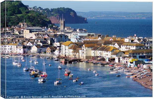 Teignmouth Back Beach and Town viewed from Shaldon Canvas Print by Rosie Spooner
