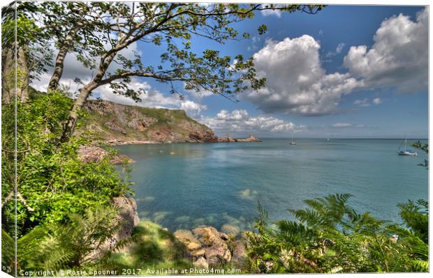 Ansteys Cove and Long Quarry Point Torquay Canvas Print by Rosie Spooner