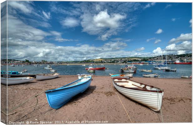 Teignmouth Back Beach on The River Teign  Canvas Print by Rosie Spooner