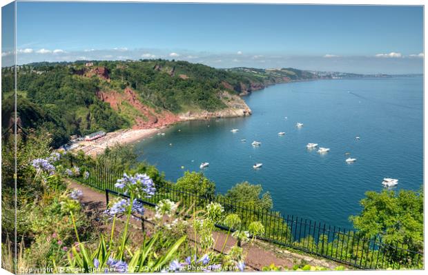 Busy day in Babbacombe Bay and Oddicombe  Beach  Canvas Print by Rosie Spooner