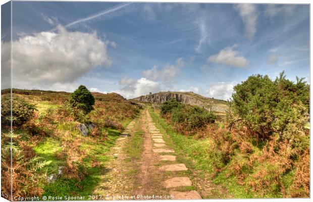 The old railway track leading up to Stowes Hill Canvas Print by Rosie Spooner