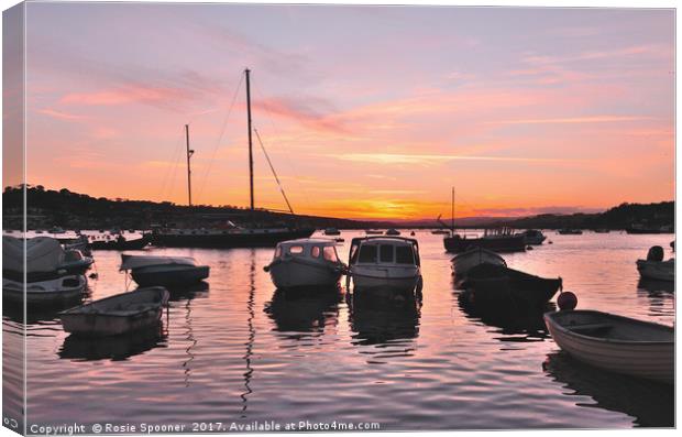 Teignmouth Back Beach on The River Teign Canvas Print by Rosie Spooner