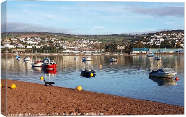 Bright sunny morning on the River Teign at Shaldon Canvas Print by Rosie Spooner