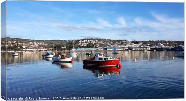 Calm day on the River Teign viewed from Shaldon  Canvas Print by Rosie Spooner