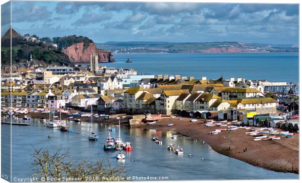 Teignmouth Back Beach on The River Teign Canvas Print by Rosie Spooner