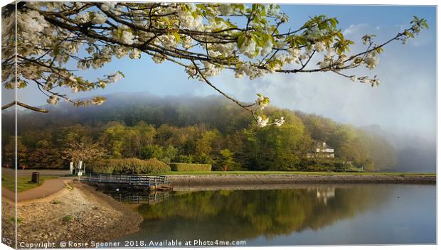 Misty springtime morning at the Millpool in Looe Canvas Print by Rosie Spooner
