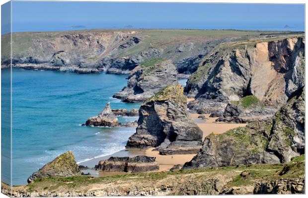 Bedruthan Steps on the North Cornwall Coast  Canvas Print by Rosie Spooner