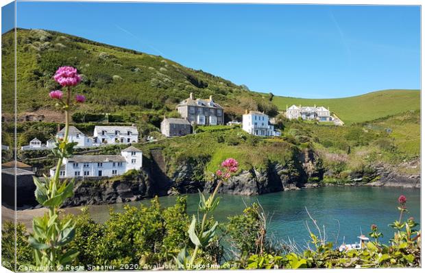 Port Isaac in Cornwall  viewed from the coast path Canvas Print by Rosie Spooner
