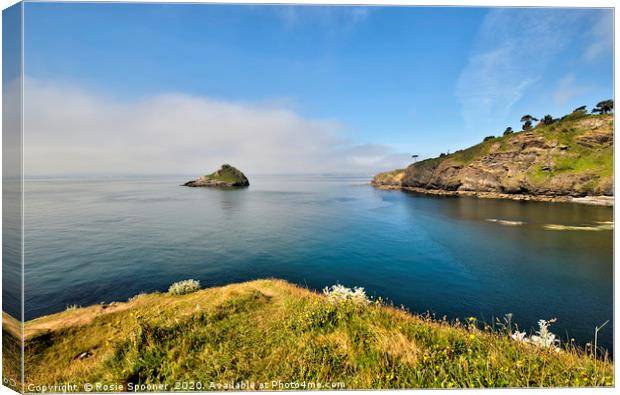 Mist rising over Thatcher Rock in Torquay Canvas Print by Rosie Spooner