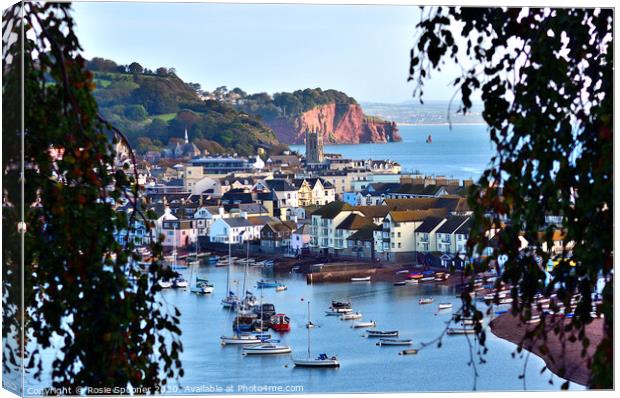 Looking through the trees to Teignmouth Canvas Print by Rosie Spooner