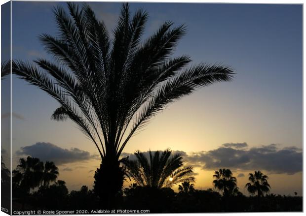 Palm Trees at Sunset Canvas Print by Rosie Spooner