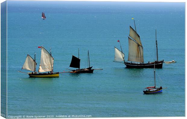 Luggers during Regatta at Looe Canvas Print by Rosie Spooner