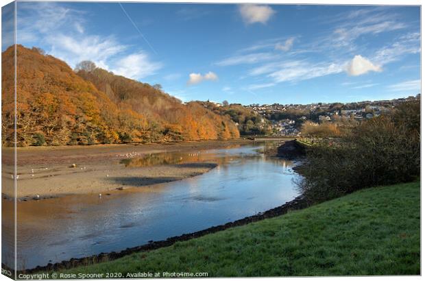 The West Looe River in Cornwall in Autumn Canvas Print by Rosie Spooner