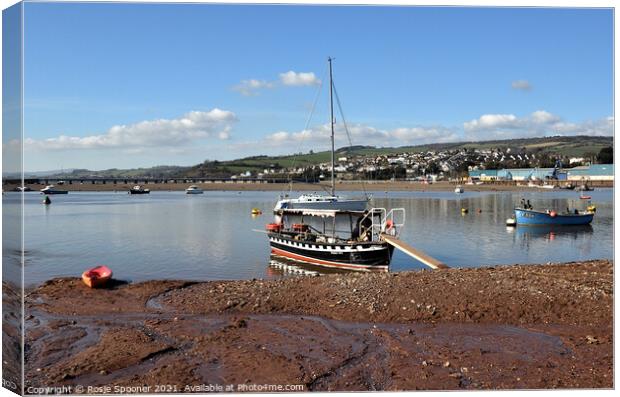 The Teignmouth and Shaldon Ferry on The River Teign Canvas Print by Rosie Spooner