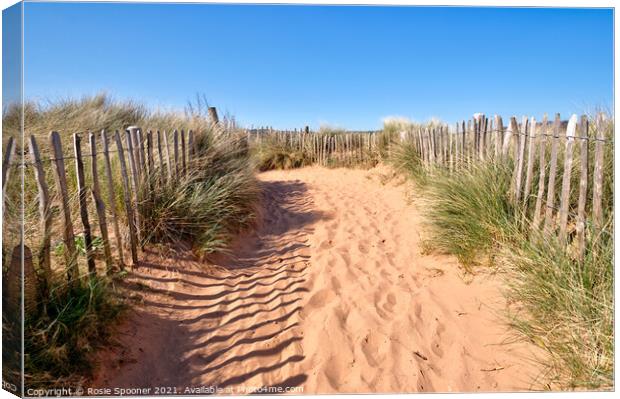 Dawlish Warren Sand Dunes Canvas Print by Rosie Spooner